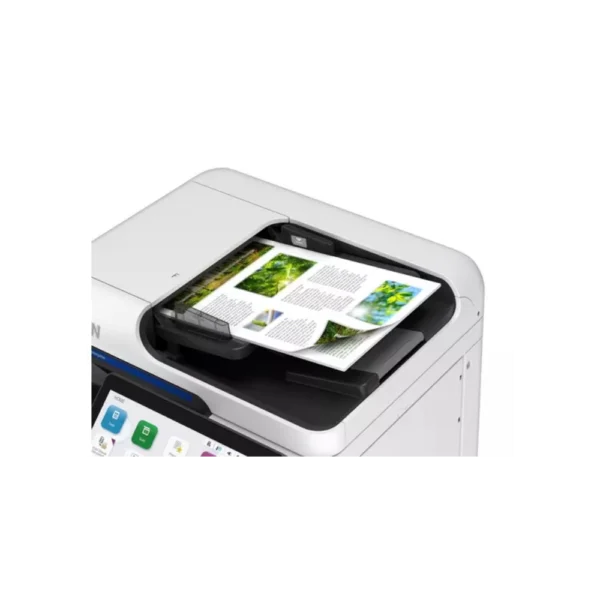 Epson AM C550