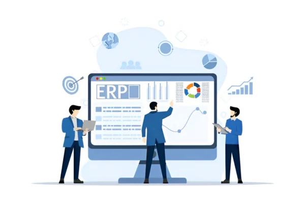 ERP-System-Customization